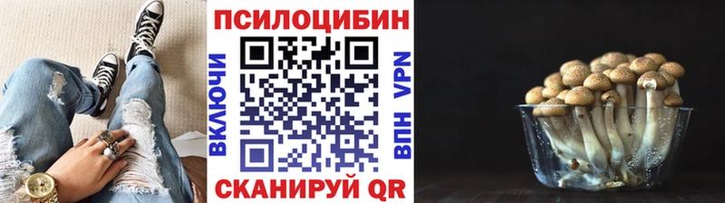 продажа наркотиков  blacksprut рабочий сайт  Галлюциногенные грибы прущие грибы  Приморск 