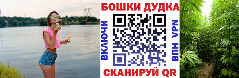 MEGA как войти  купить наркоту  Приморск  Марихуана VHQ 
